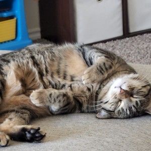 Meet your Posher, Jackie